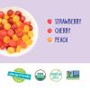 YumEarth Organic Assorted Flavor Fruit Snacks – Allergy Friendly (Top 9 Free), No Artificial Dyes or Flavors, Non GMO, Gluten Free, Vegan Candy Snacks – 0.7 Ounce (Pack of 5) (3.5 Ounce Box (Pack of 5), Fruit)(Fruit)