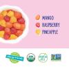 YumEarth Organic Assorted Tropical Flavor Fruit Snacks – Allergy Friendly (Top 9 Free), No Artificial Dyes or Flavors, Non GMO, Gluten Free, Vegan Candy Snacks – 0.7 Ounce (Pack of 5)