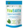 YumEarth Organic Fruit Drops Hard Candy, Assorted Flavors, 4.25 Pound (Pack of 1) – Allergy Friendly, Non GMO, Gluten Free, Vegan (Packaging May Vary)(Mint)