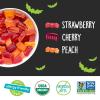 YumEarth Organic Halloween Candy, Allergy Friendly, Gluten Free, Non-GMO, Vegan, No Artificial Flavors or Dyes (20 Count (Pack of 1), Gummy Fruits)(Gummy Fruits)