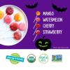 YumEarth Organic Halloween Candy, Allergy Friendly, Gluten Free, Non-GMO, Vegan, No Artificial Flavors or Dyes (20 Count (Pack of 1), Gummy Fruits)(Lollipops)
