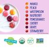 YumEarth Organic Pops Variety Pack, 250 Fruit Flavored Favorites Lollipops, Allergy Friendly, Gluten Free, Non-GMO, Vegan, No Artificial Flavors or Dyes(Vitamin C Pops)