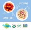 YumEarth Easter Candy Organic Gummy Fruits, 4 Ounce – Spring Fruit Flavors – Allergy Friendly, Gluten Free, Non-GMO, Vegan, No Artificial Flavors or Dyes(6 Ounce)