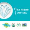 YumEarth Organic Candy Canes – Individually Wrapped Full Size Blue Raspberry Candy Canes – Dye Free, Allergy Friendly, Non GMO, Gluten Free, Vegan – 10 Count (Pack of 1)(Blue Raspberry Candy Canes)