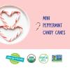 YumEarth Organic Candy Canes – Individually Wrapped Full Size Blue Raspberry Candy Canes – Dye Free, Allergy Friendly, Non GMO, Gluten Free, Vegan – 10 Count (Pack of 1)(Peppermint Mini Candy Canes)