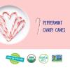 YumEarth Organic Candy Canes – Individually Wrapped Full Size Peppermint Candy Canes – Allergy Friendly, Non GMO, Gluten Free, Vegan – 10 Count (Pack of 1)