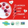 YumEarth Organic Pops Valentine Variety Pack – Fruity Lollipops – Gluten Free Snacks for Kids – Allergy Friendly, Non-GMO, No Artificial Flavors or Dyes – Assorted Flavors, 6.11 oz (Pack of 28)(Lollipops)