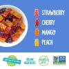 YumEarth Organic Fruit Flavored Gummy Bears, 10- .7oz. Snack Packs, Allergy Friendly, Gluten Free, Non-GMO, No Artificial Flavors or Dyes, Assorted(Assorted Flavors)