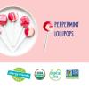 YumEarth Holiday Peppermint Puff Box 20oz(Peppermint Lollipops)