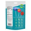 YumEarth Organic Duo Pops, Lollipops with Fruit Chew Centers – Allergy Friendly (Top 9 Free), No Artificial Dyes, Non GMO, Gluten Free, Vegan Candy Snacks – Individually Wrapped Pops (20 Count (Pack of 1))(20 Count (Pack of 1))