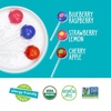 YumEarth Organic Duo Pops, Lollipops with Fruit Chew Centers – Allergy Friendly (Top 9 Free), No Artificial Dyes, Non GMO, Gluten Free, Vegan Candy Snacks – Individually Wrapped Pops (20 Count (Pack of 1))(20 Count (Pack of 3))